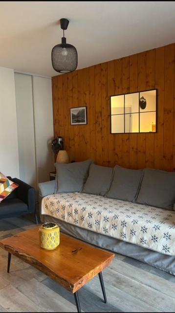 Appartement Tt Confort Au Coeur Des Montagnes Vue Sur Les Montagnes II Wifi Luz-Saint-Sauveur Buitenkant foto